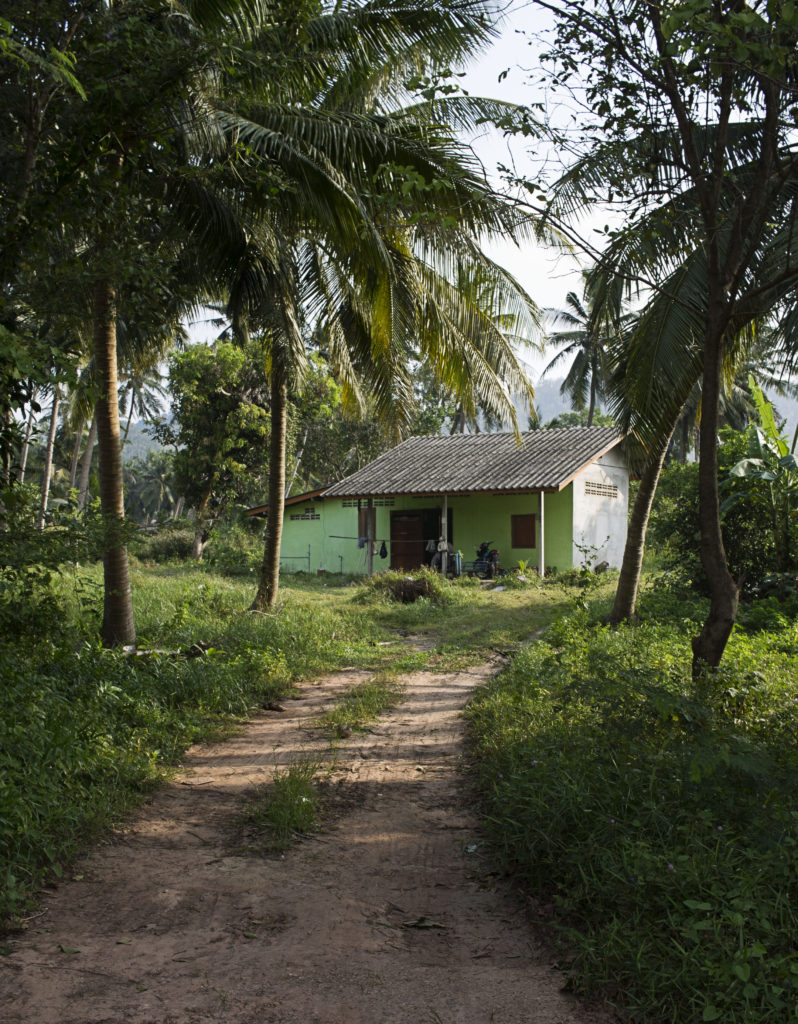 IMG_7840_1-798×1024-1