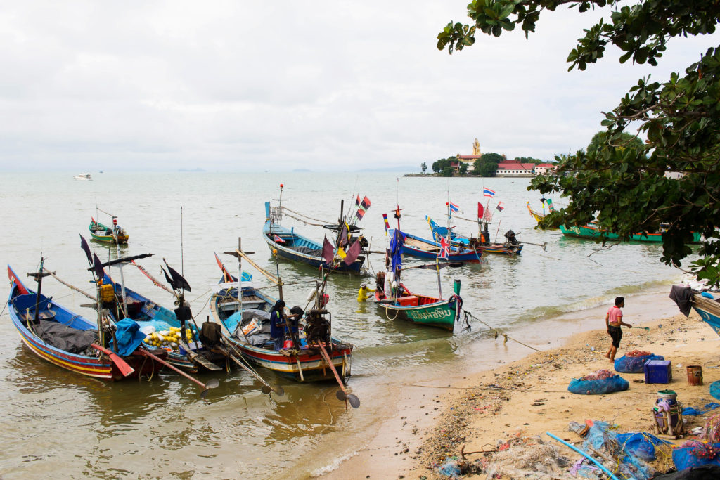 IMG_8090-4-copy-1024×683-1